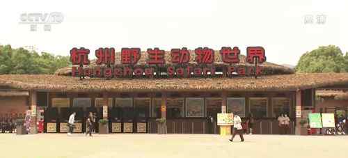 杭州野生动物世界主要负责人已被控制 登上网络热搜了！