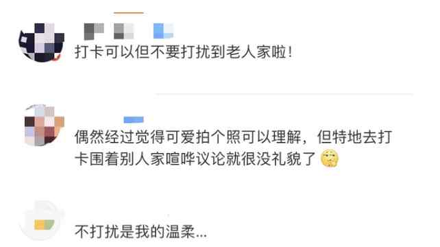 蝴蝶结阳台刷屏网络 网友：不打扰才是温柔 还原事发经过及背后原因！