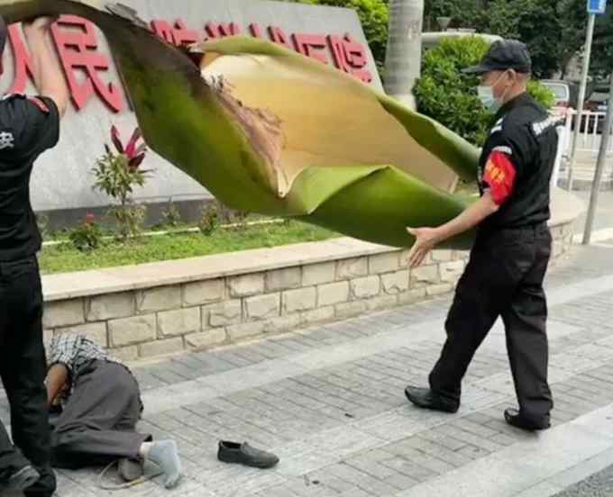 广东一男子被一片树叶砸晕在地？网友懵了