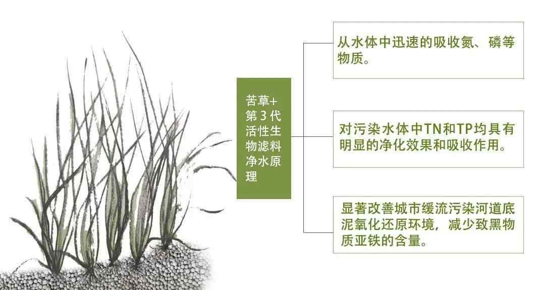 生物滤料 助力人工湿地，生物滤料显身手