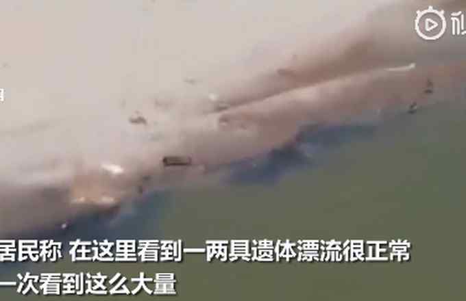 印度医护人员将遗体扔进河？多名新冠死者河上漂浮画面曝光