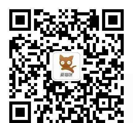 德文卷毛猫 猫中的精灵 德文卷毛猫