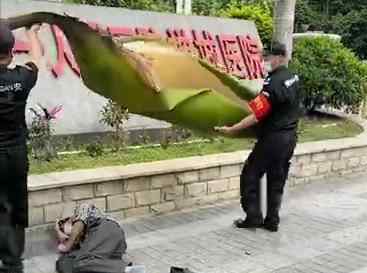 男子被几十斤大王椰树树叶砸晕 事件详细经过！
