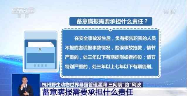 央视灵魂三问豹子风波 真相原来是这样！