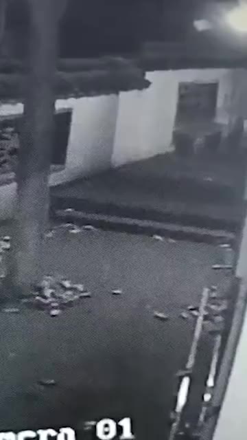 监控曝光！外逃金钱豹曾与狗狗纠缠后跳墙离去 还原事发经过及背后原因！