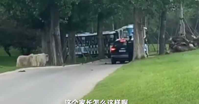 园方通报游客野生动物园擅自下车 究竟是怎么一回事?文章配图