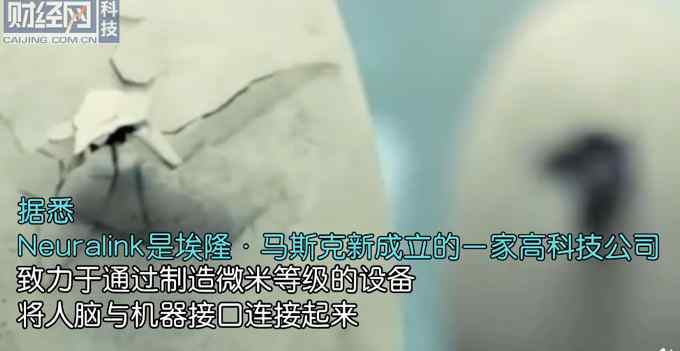 马斯克旗下公司将培育恐龙：15年内可育种 侏罗纪公园指日可待
