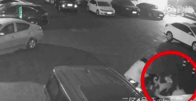老太被无绳狗扑倒后猝死 家属向饲养人索赔80余万元文章配图