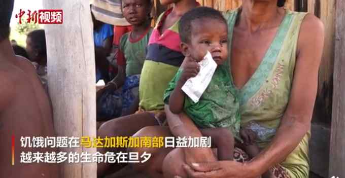 生命危在旦夕！马达加斯加面临饥荒风险 联合国发出警告