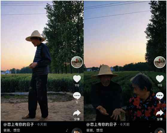 河南货车司机带75岁母亲拉货走红：不亏欠 将来才不后悔 真相到底是怎样的？
