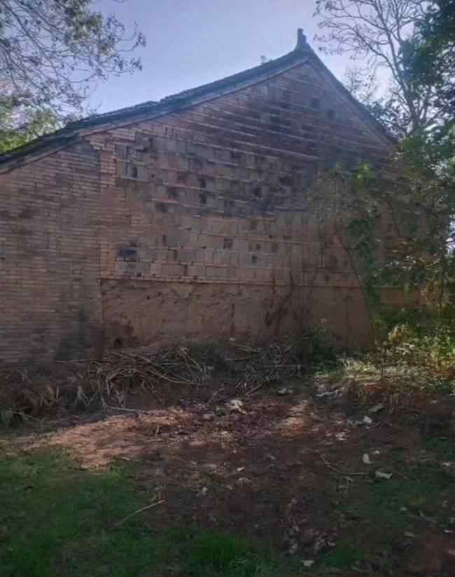 陕西15岁少年遭围殴致死被埋一案开庭 到底什么情况呢？