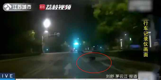 真险！男子深夜开车撞上200斤野猪 野猪死亡车辆轻微受损