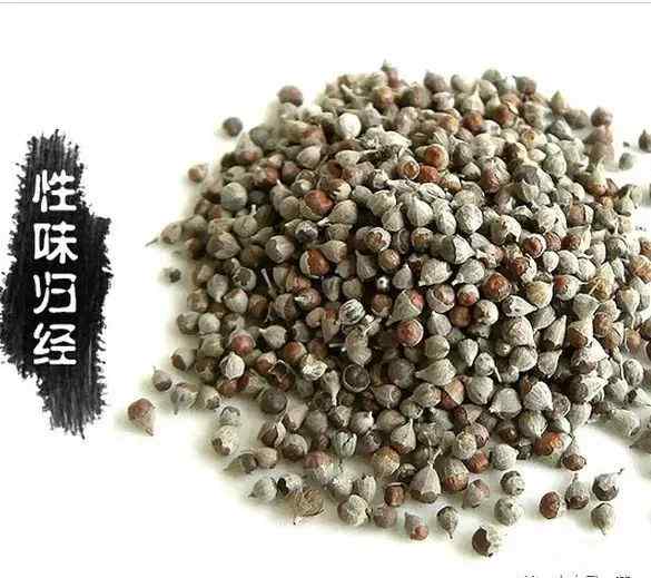 牡荆叶 牡荆子的功效与作用