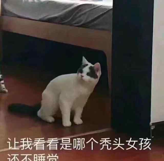脱发图片 秃头表情包搞笑版：头发渐渐消失文章配图