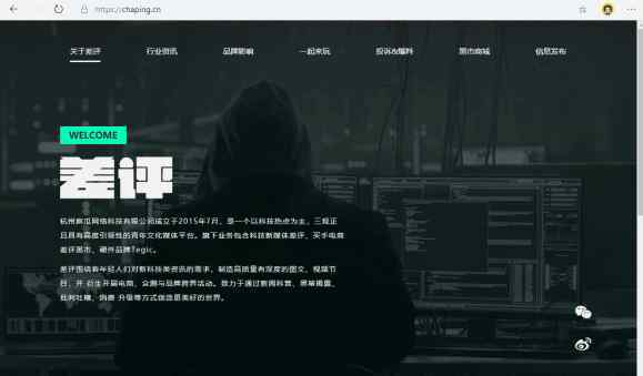 网页浏览器 怎么选？毕竟可以上网的浏览器只剩下四款了。。。