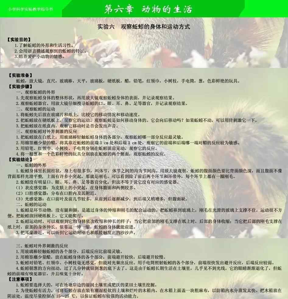 观察蚯蚓 实验：观察蚯蚓的身体和运动方式