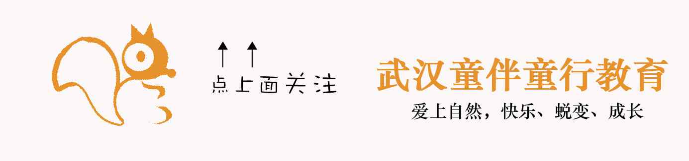 武汉枪击 你听说了吗?  2019年的武汉，要发生一件大事！文章配图