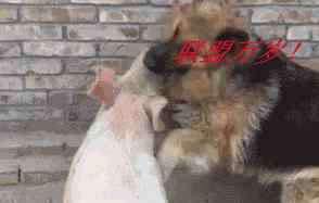 情侣联机游戏 盘点——最适合情侣一起玩的游戏