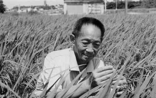 袁隆平遗体告别仪式或将在明阳山殡仪馆举行 登上网络热搜了！
