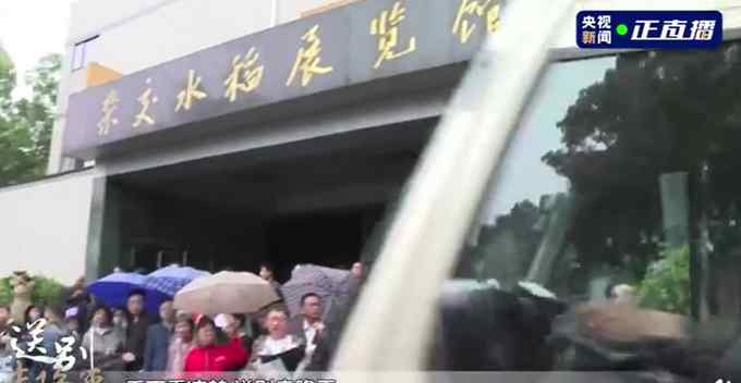 袁老最后一次看杂交稻 回到了他奋斗的地方 群众泣不成声雨中送别