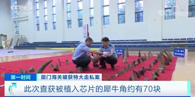 残忍！厦门海关查获价值1亿元犀牛角 70块含有非洲芯片信息