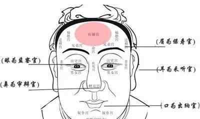 面相学 面相学基本知识