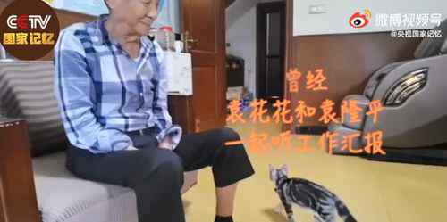 袁花花再也无法陪袁隆平听汇报了 泪目！ 事件的真相是什么？