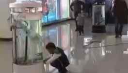 郑州网友自曝遇到“假海洋馆”：门票40满地鱼缸