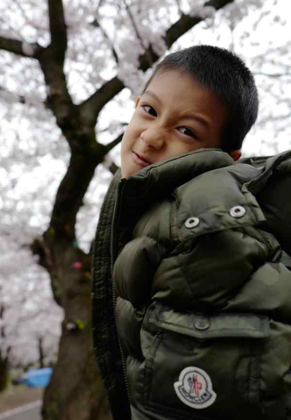 胡静与儿子花下漫步沐浴晨光 素颜出镜嫩肤惹人