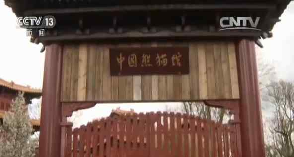 荷兰欧维汉斯动物园的中式“宫殿” 等待中国大