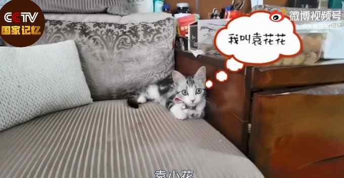 袁花花再也无法陪袁隆平听汇报了 光顾18年的理发店等不来老顾客了……