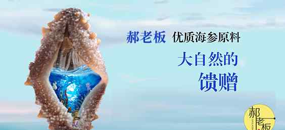 海参适宜人群 海参的适宜人群有哪些？这几类人群要常吃！