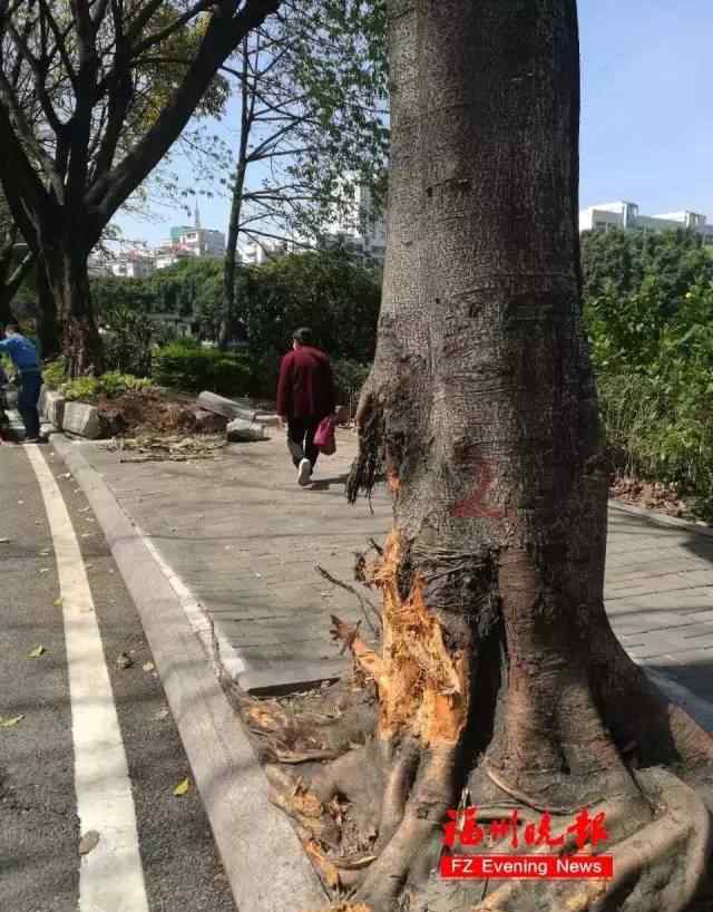 宝马撞飞共享单车：肇事司机无奈哭诉 垃圾箱现