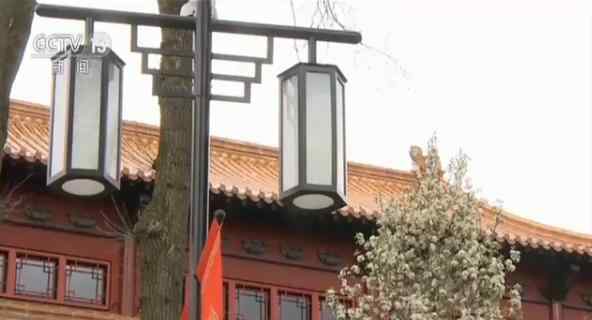 荷兰欧维汉斯动物园的中式“宫殿” 等待中国大
