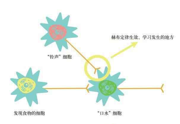 假如记忆可以移植 假如记忆可以移植文章配图
