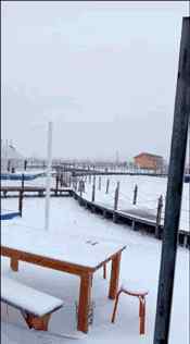 新疆大雪 新疆这里居然下大雪了，刚拍的！简直美到爆！一组照片惊艳全国~