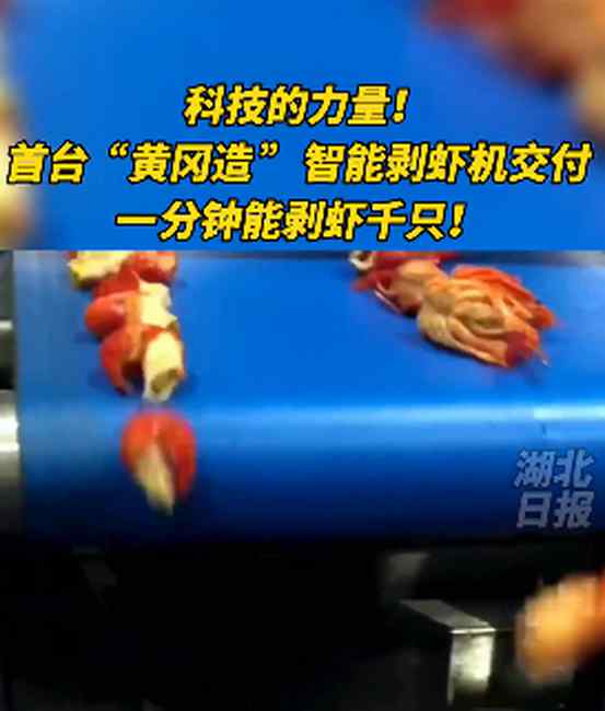 吃货福音？智能剥虾机1分钟剥千只小龙虾！有网友直呼：没了灵魂