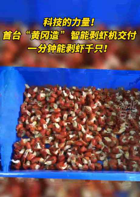 吃货福音？智能剥虾机1分钟剥千只小龙虾！有网友直呼：没了灵魂