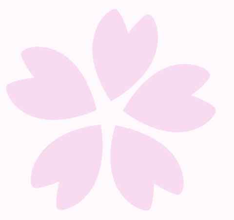 三八红旗手事迹 她风采 | 巾帼逐梦绽芳华——三八红旗手事迹系列报道文章配图