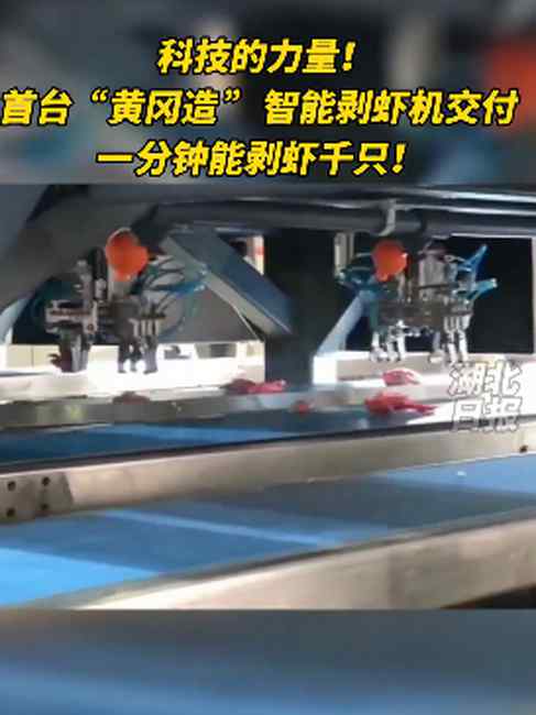 吃货福音？智能剥虾机1分钟剥千只小龙虾！有网友直呼：没了灵魂