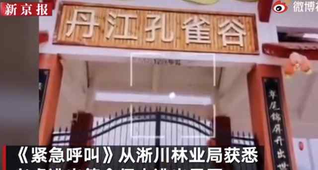 两只老虎出逃咬死饲养员均被击毙 抓捕困难 避免再次伤人 真相原来是这样！