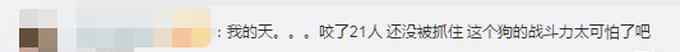 江苏南通一疯狗接连咬伤21人尚未落网 或仍四处游荡 网友：太可怕！