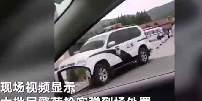 河南一景区两只老虎逃出笼舍咬死饲养员被击毙 官方通报