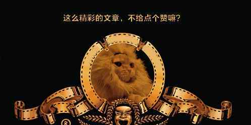 查理士王小猎犬 起源于查理士王小猎犬，知道这个秘密的都是高手！