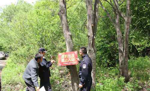 “完达山一号”最新消息：进村东北虎已到吉林 事件详细经过！