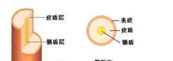 染发步骤 】染发基础知识与操作流程