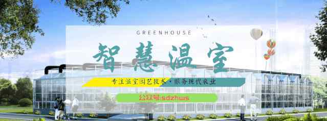 塑料大棚造价 在农村建一亩地蔬菜温室大棚造价大概需要多少钱?