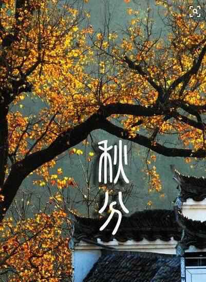 秋分习俗 秋分的传统习俗有哪些？这些秋分习俗你了解多少文章配图