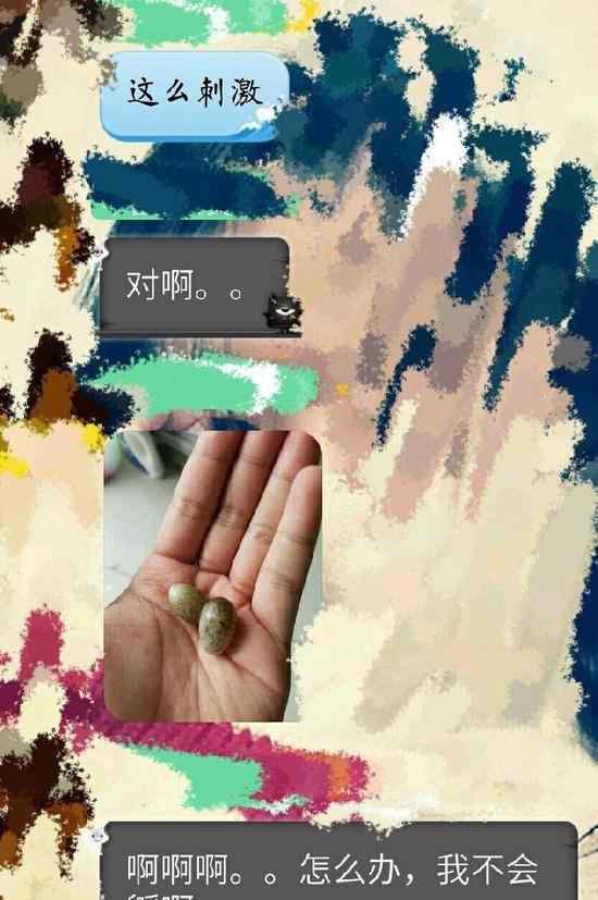 懒癌患者  大学男生常年不收衣服鸟在衣服内筑巢
