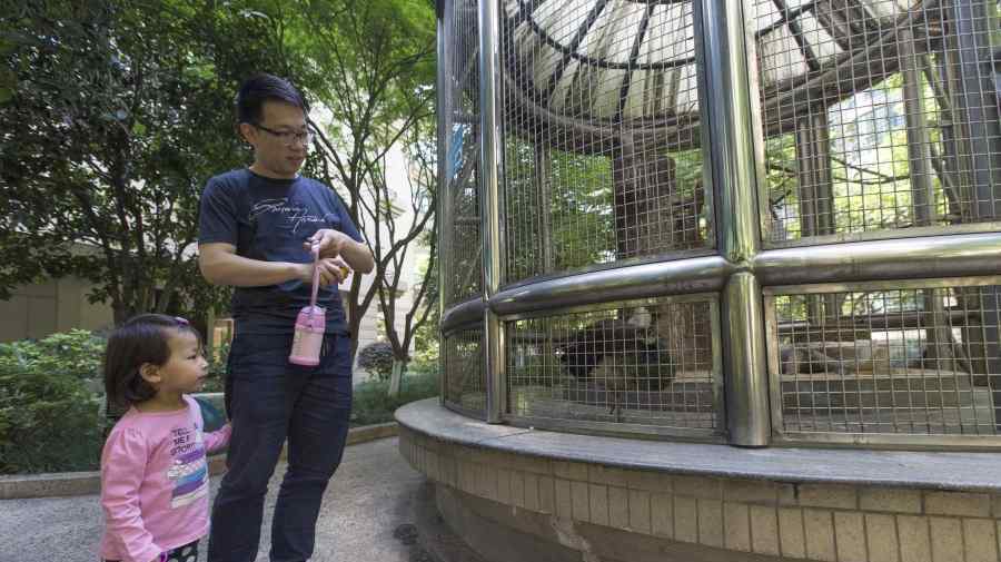 杭州一小区内养孔雀 居民议论纷纷